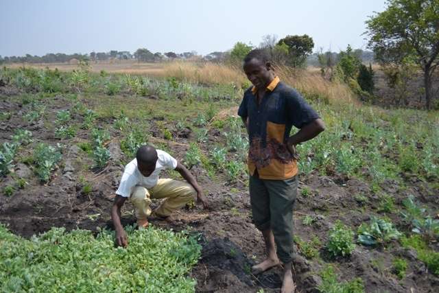 Zemědělský projekt v Angole