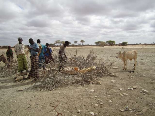 V regiony Somali je vody nedostatek